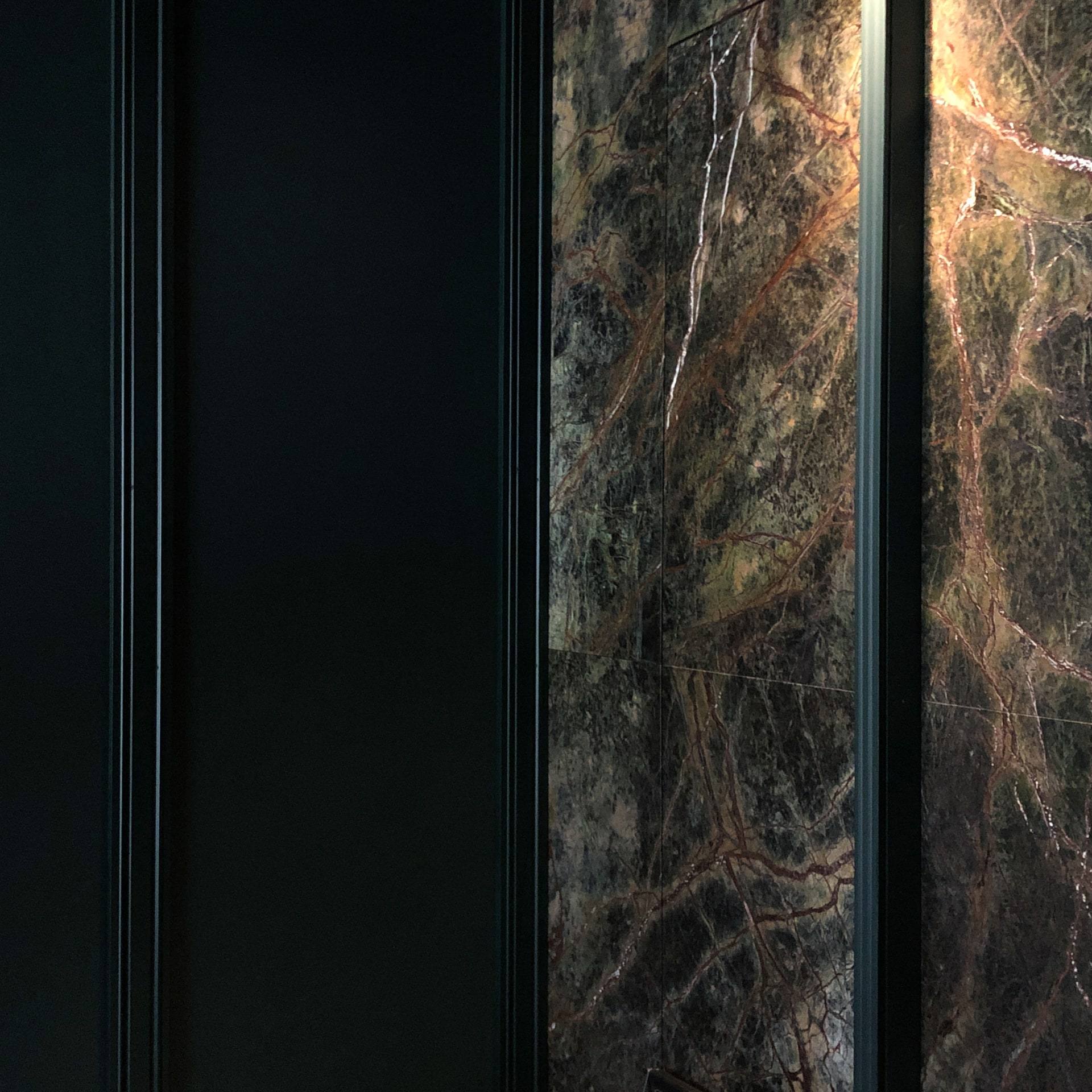 Dear.Wild — interior, 3 of 24