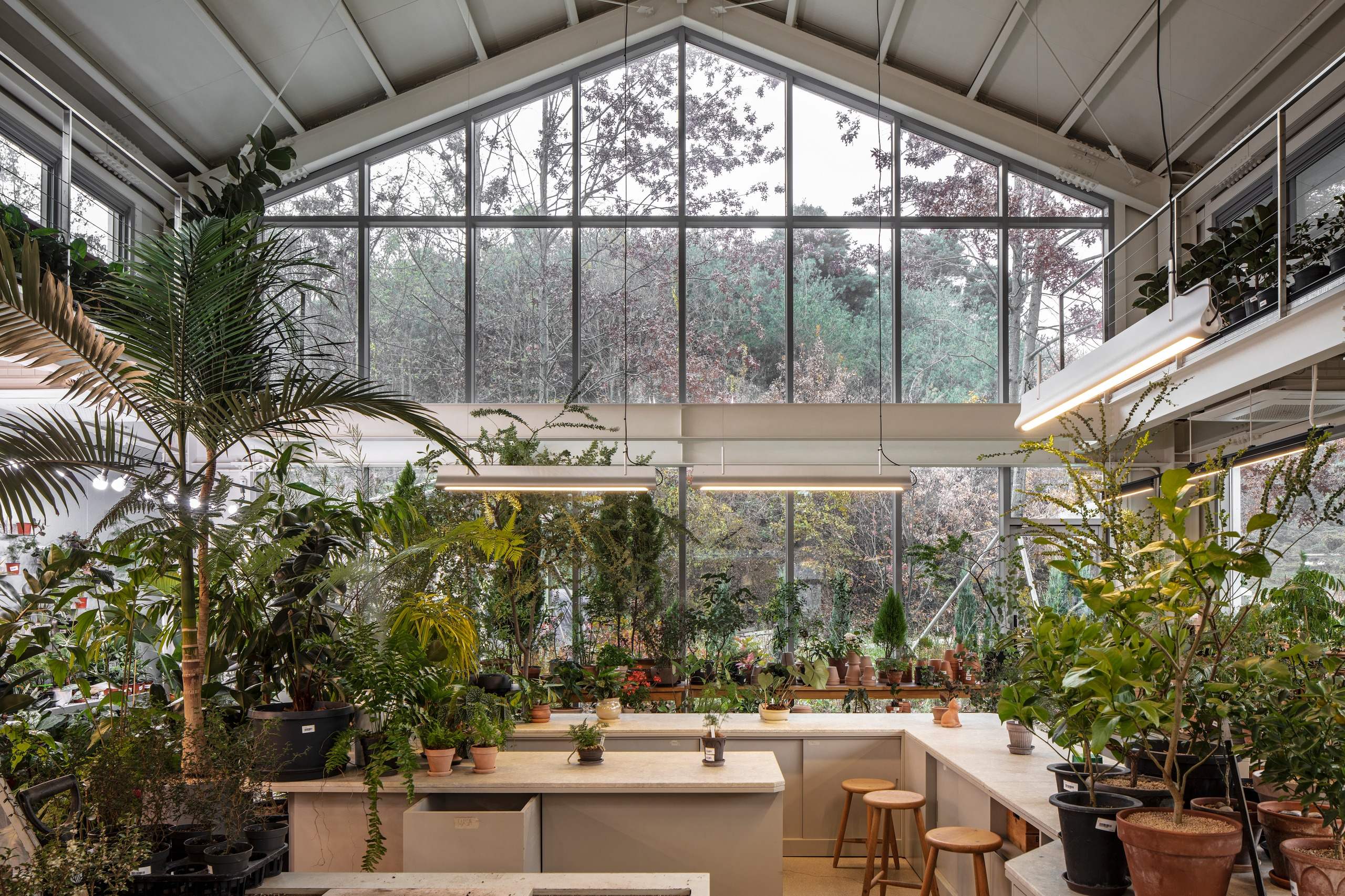 Gardenlife by Orangery — interior by Studio Writers