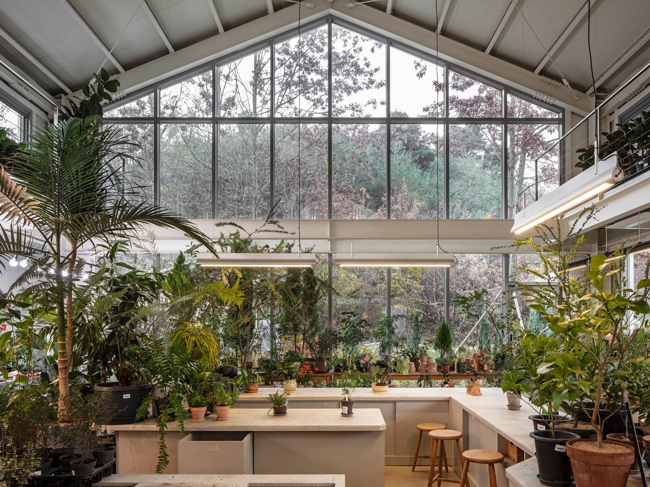 Gardenlife by Orangery — interior by Studio Writers