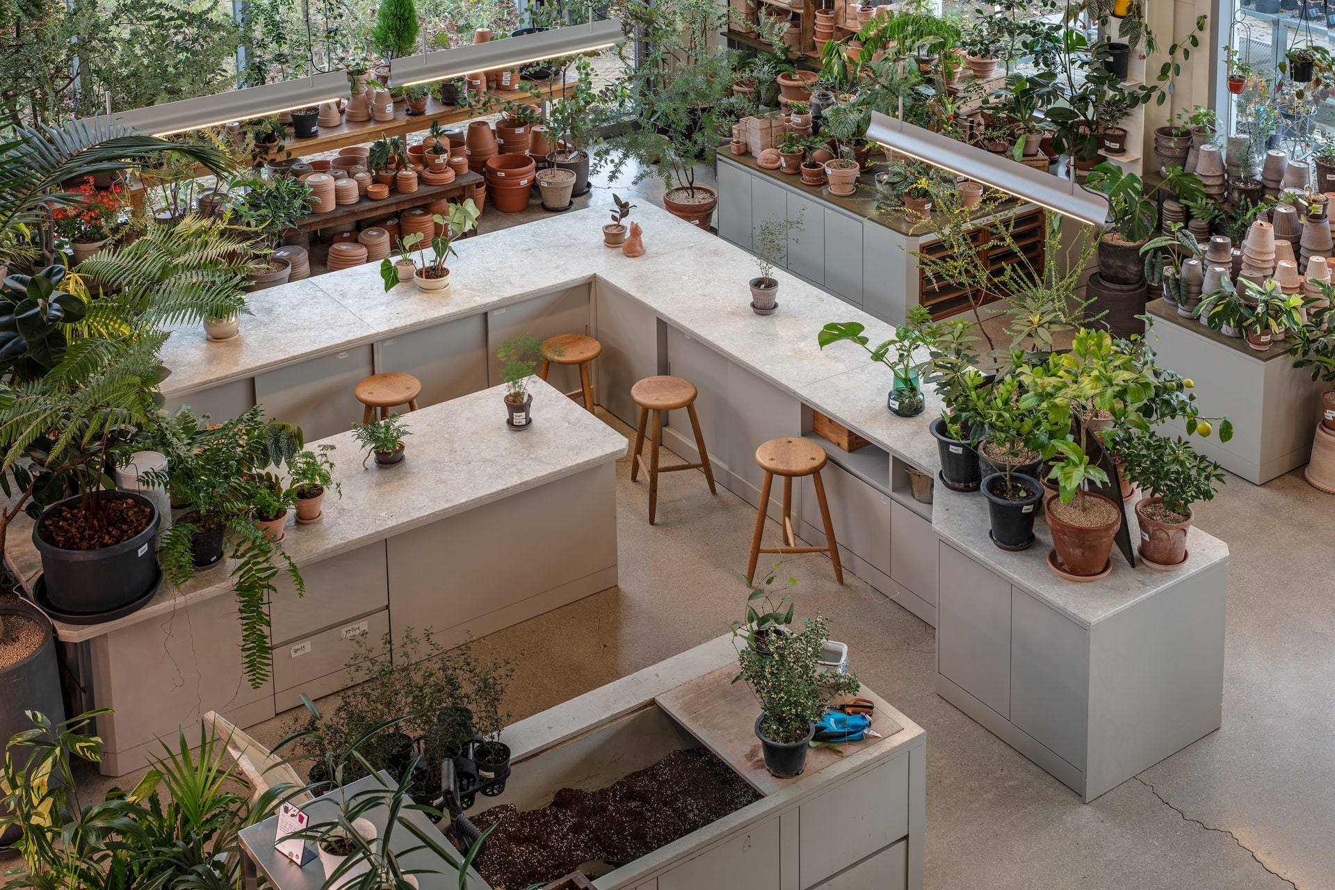 Gardenlife by Orangery — interior, 4 of 25