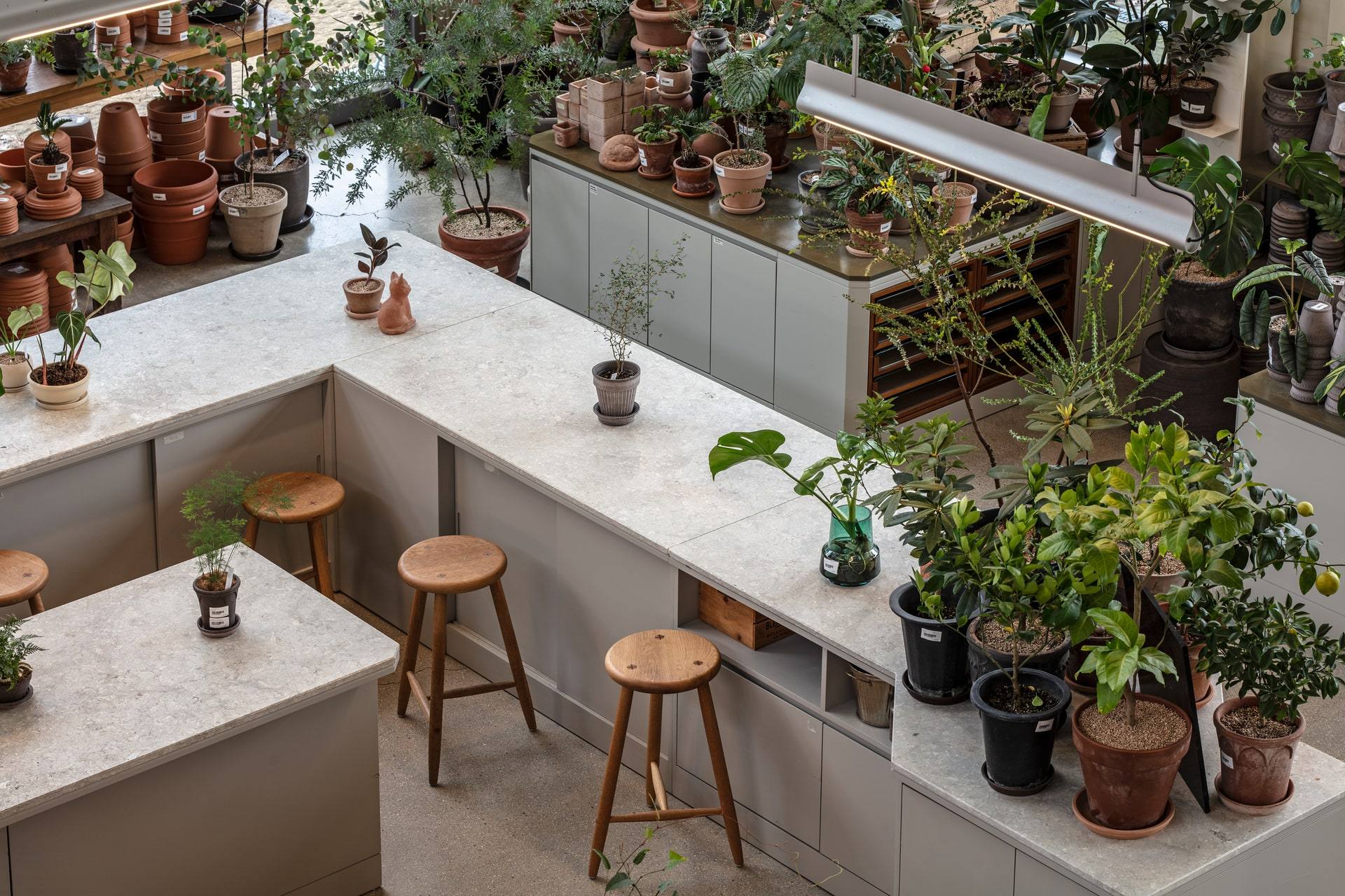 Gardenlife by Orangery — interior, 5 of 25