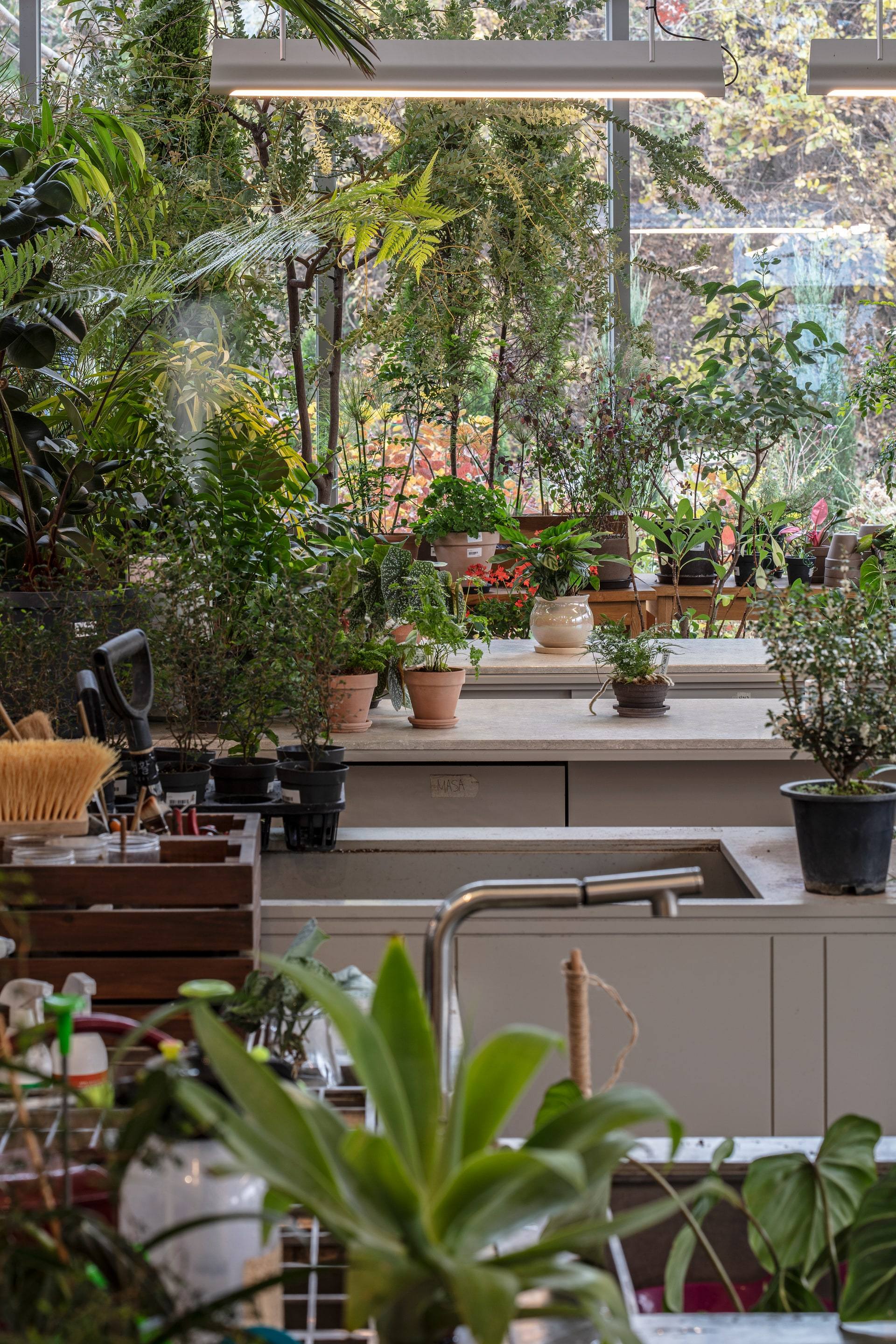 Gardenlife by Orangery — interior, 7 of 25