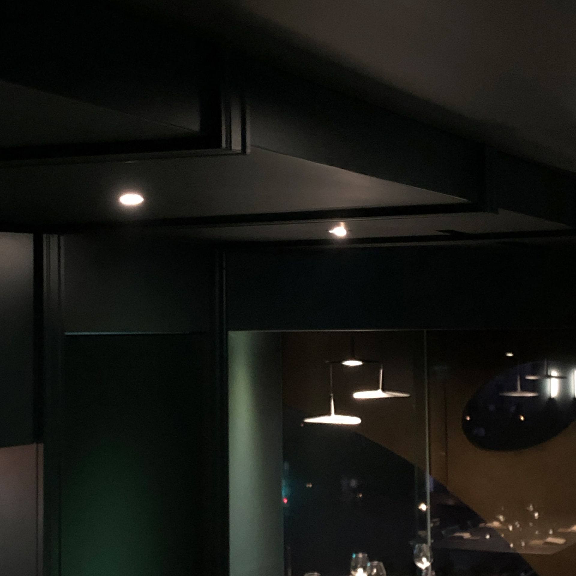 Dear.Wild — interior, 9 of 24