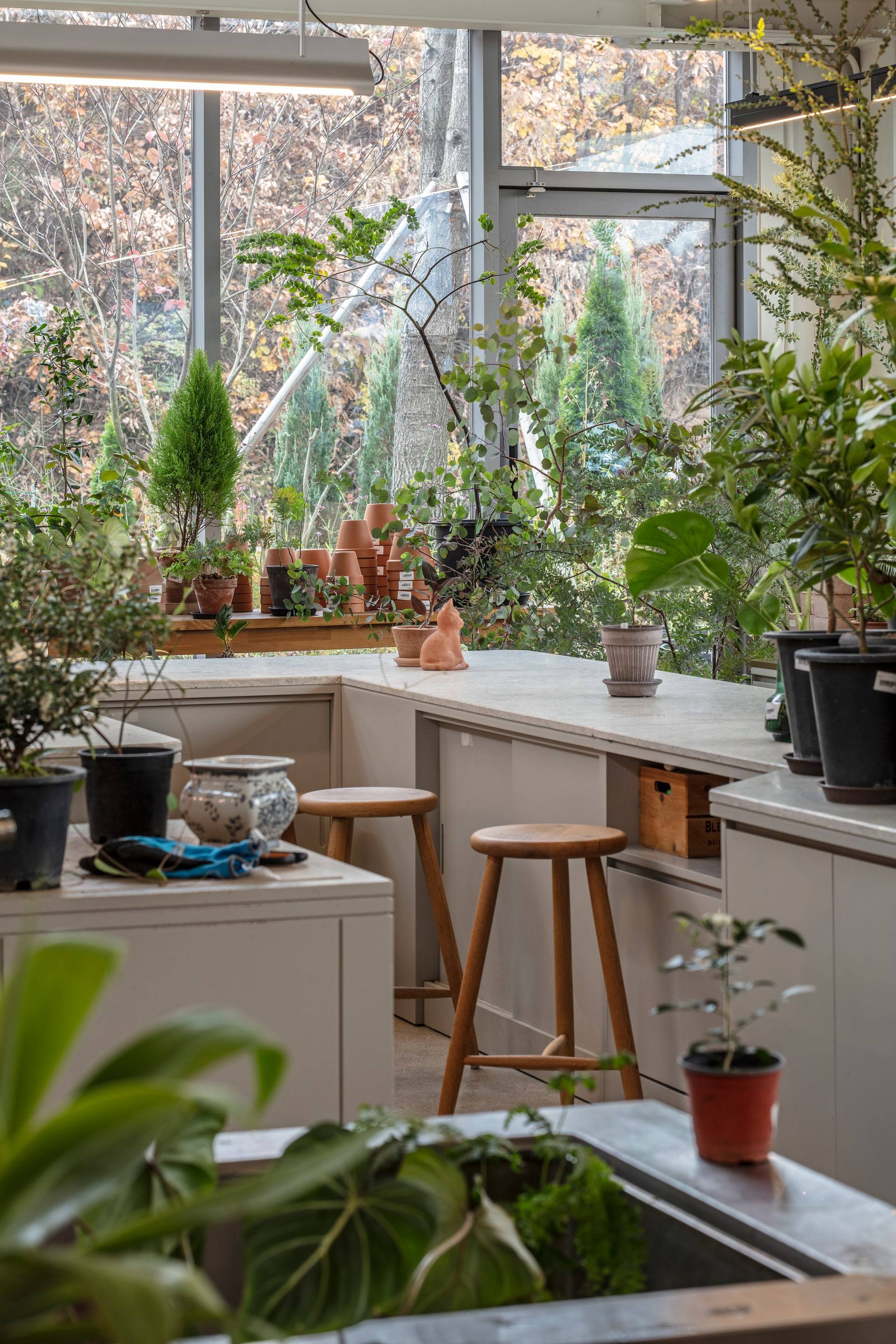 Gardenlife by Orangery — interior, 8 of 25