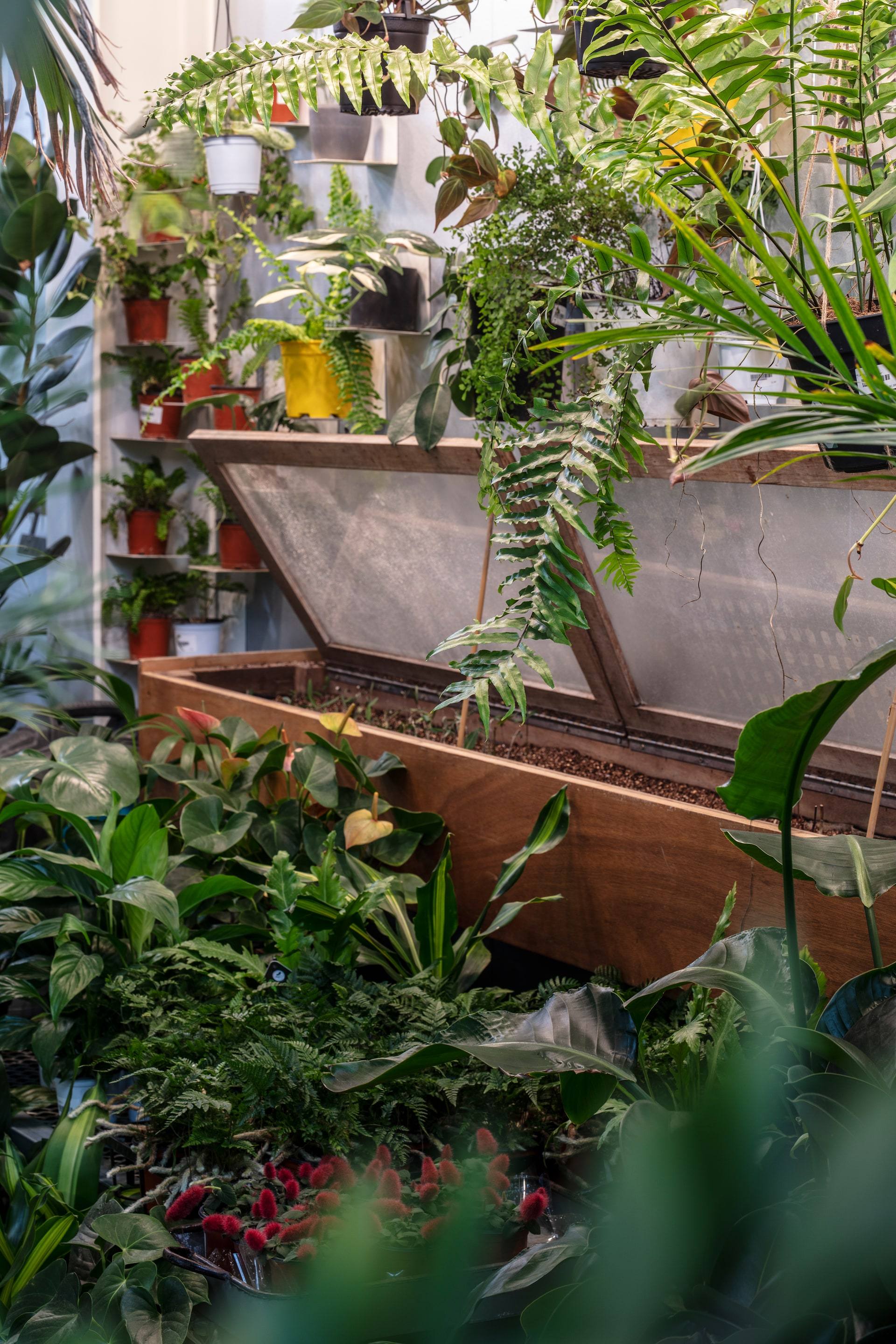 Gardenlife by Orangery — interior, 9 of 25