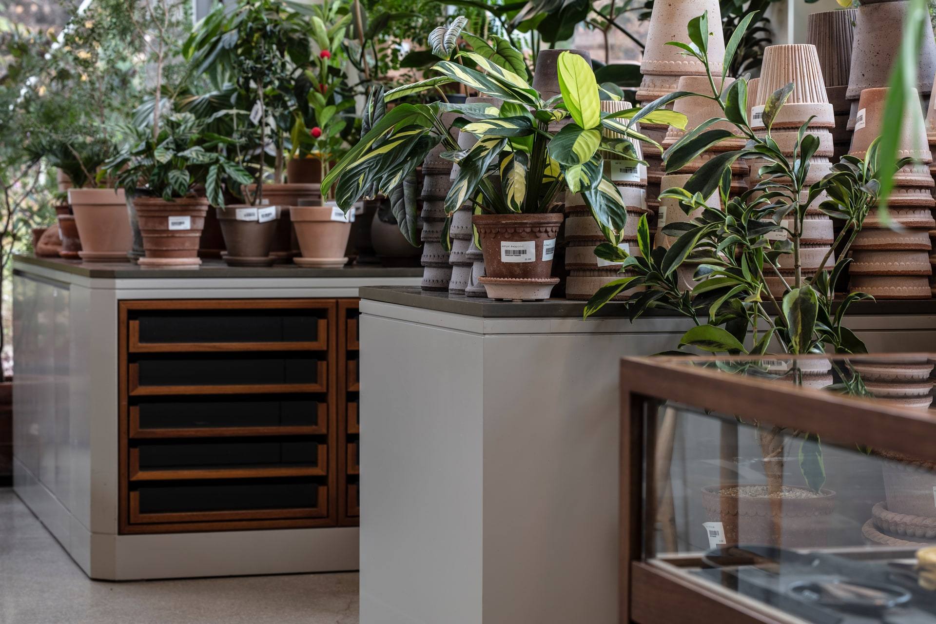 Gardenlife by Orangery — interior, 10 of 25