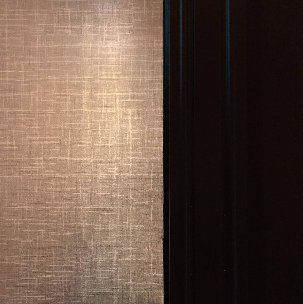 Dear.Wild — interior, 12 of 24