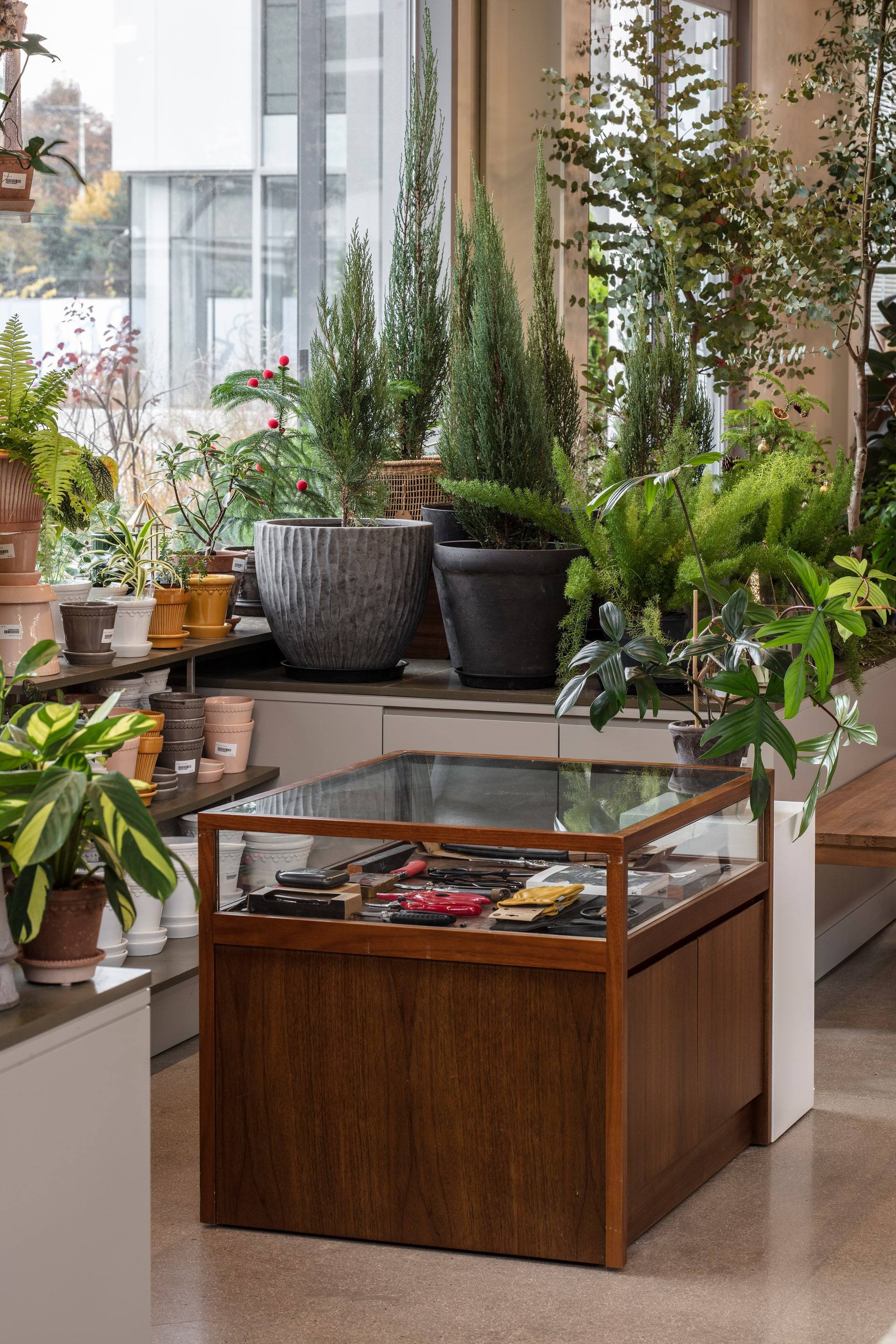 Gardenlife by Orangery — interior, 11 of 25