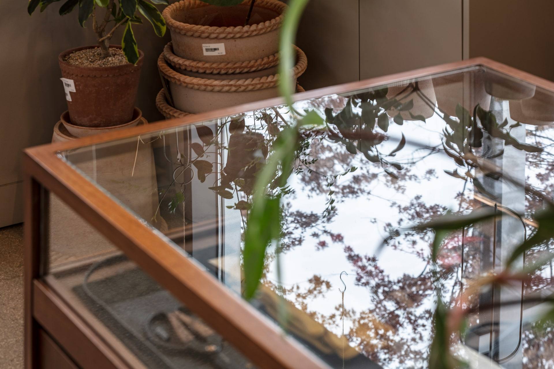 Gardenlife by Orangery — interior, 14 of 25