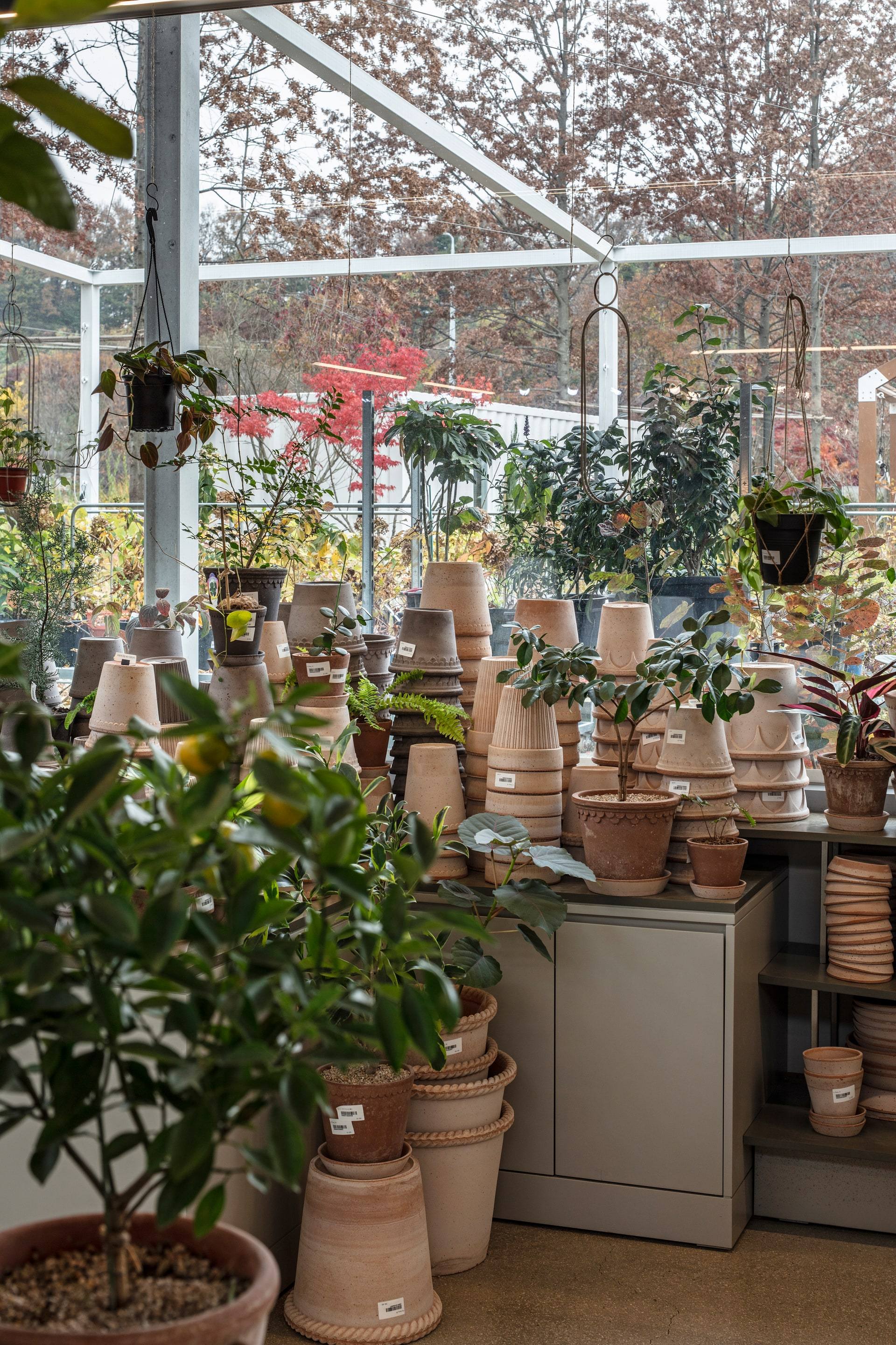 Gardenlife by Orangery — interior, 15 of 25