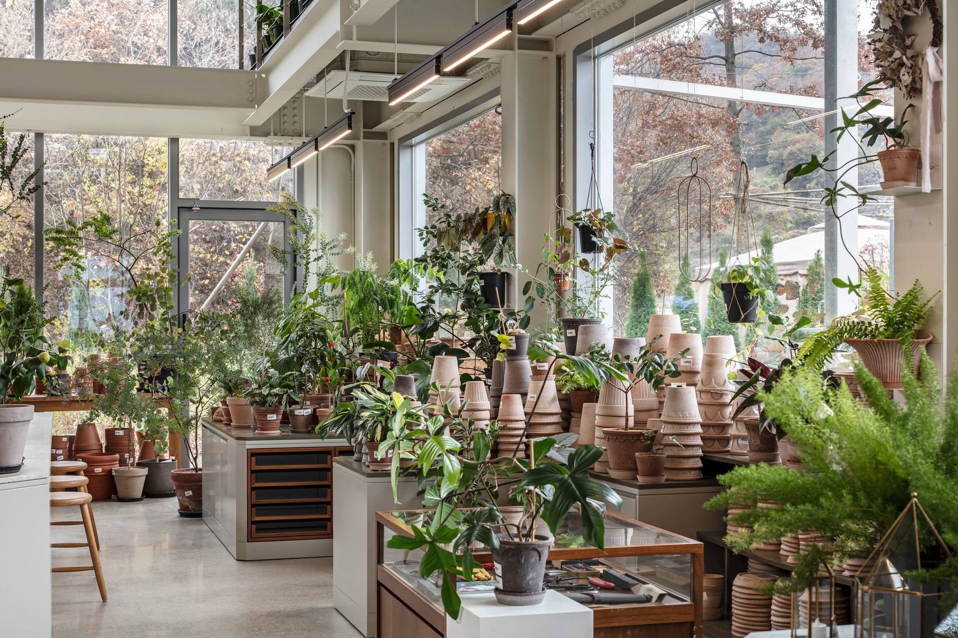 Gardenlife by Orangery — interior, 17 of 25