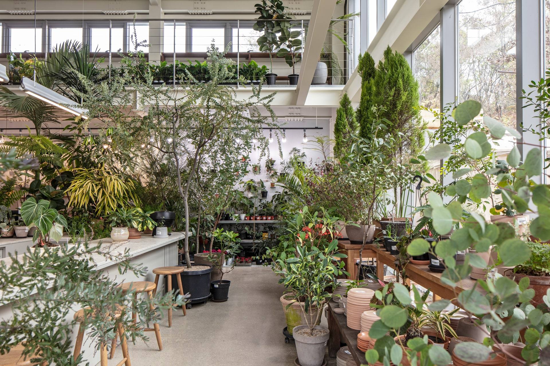 Gardenlife by Orangery — interior, 19 of 25