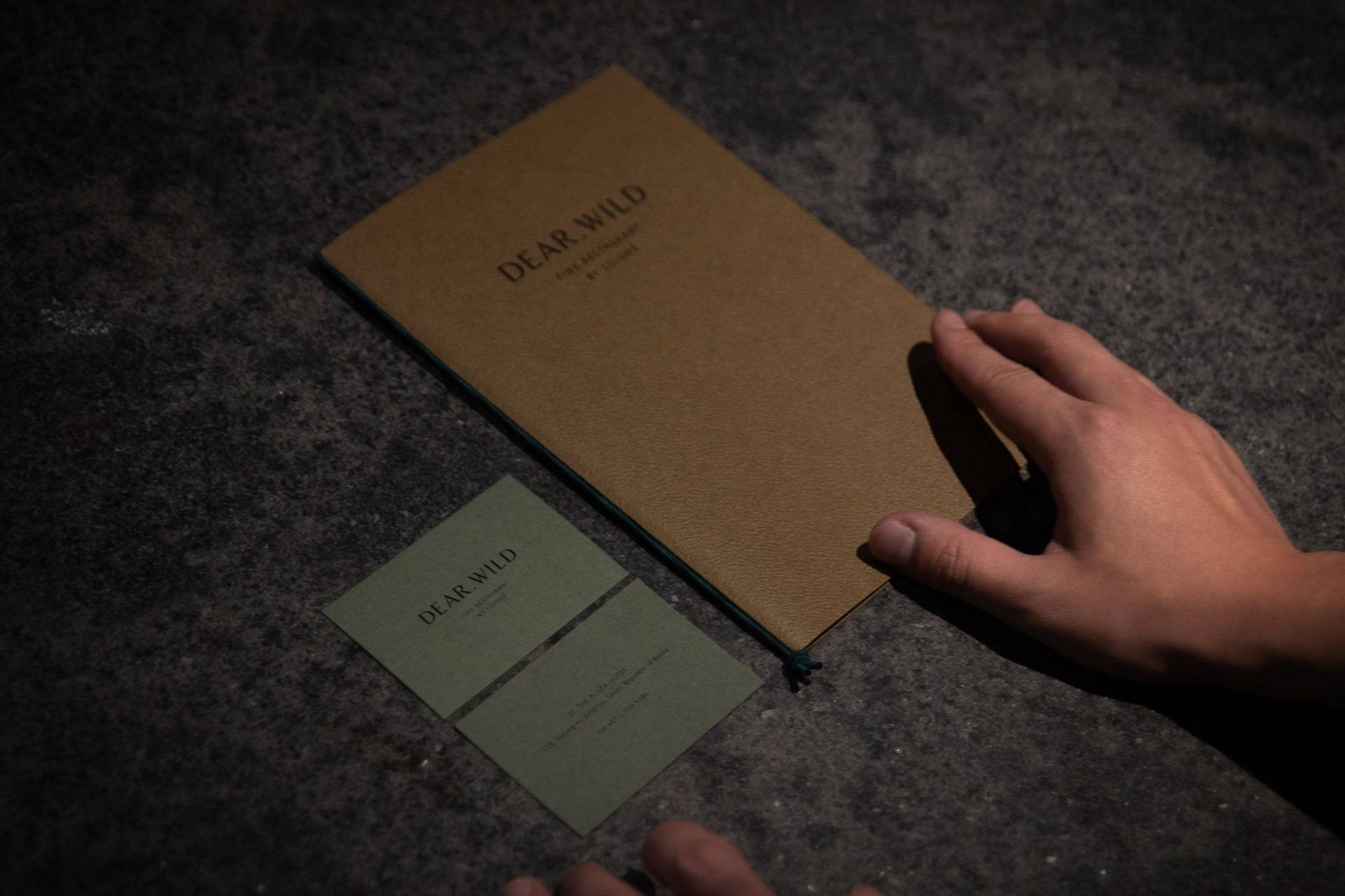 Dear.Wild — interior, 22 of 24