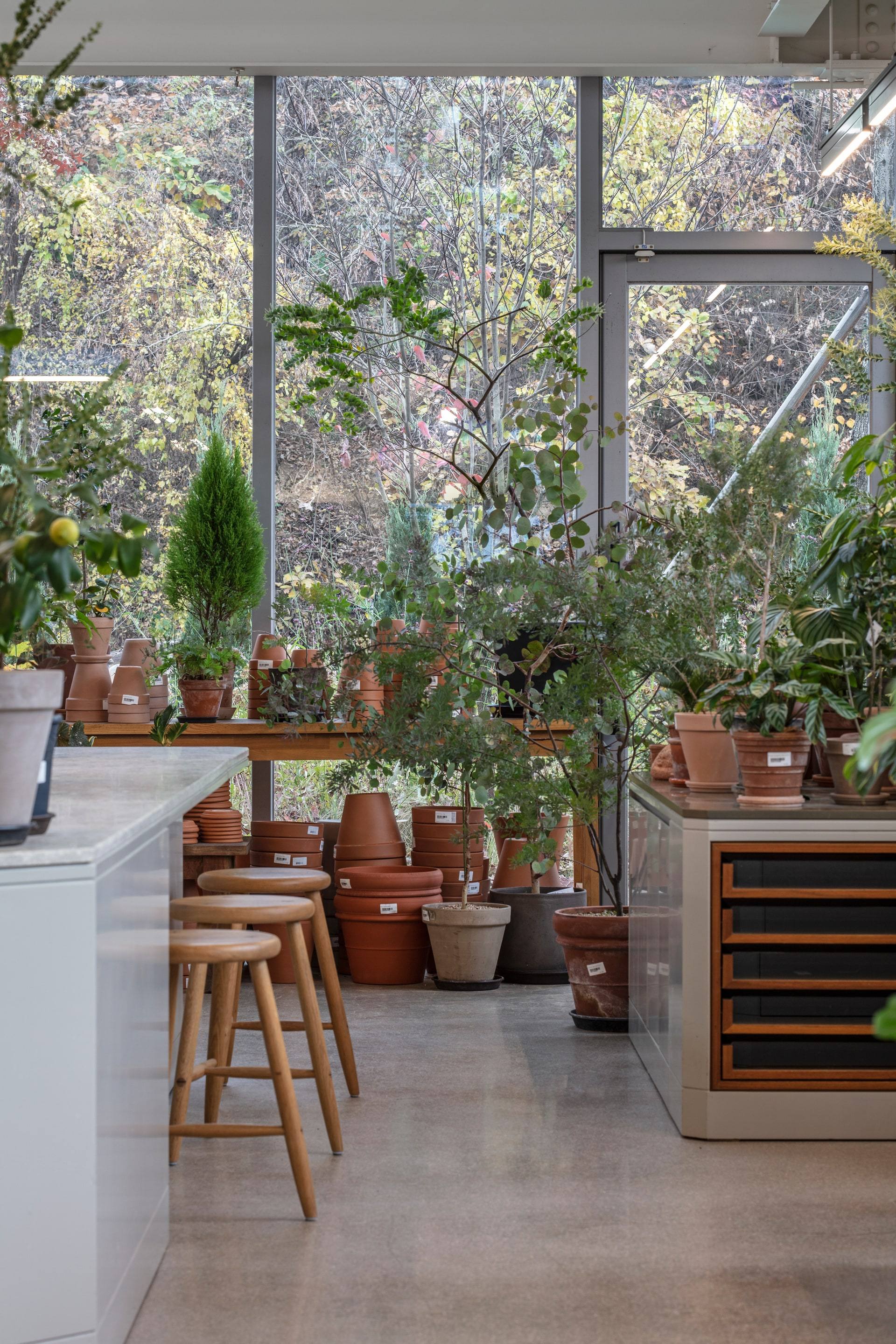 Gardenlife by Orangery — interior, 23 of 25