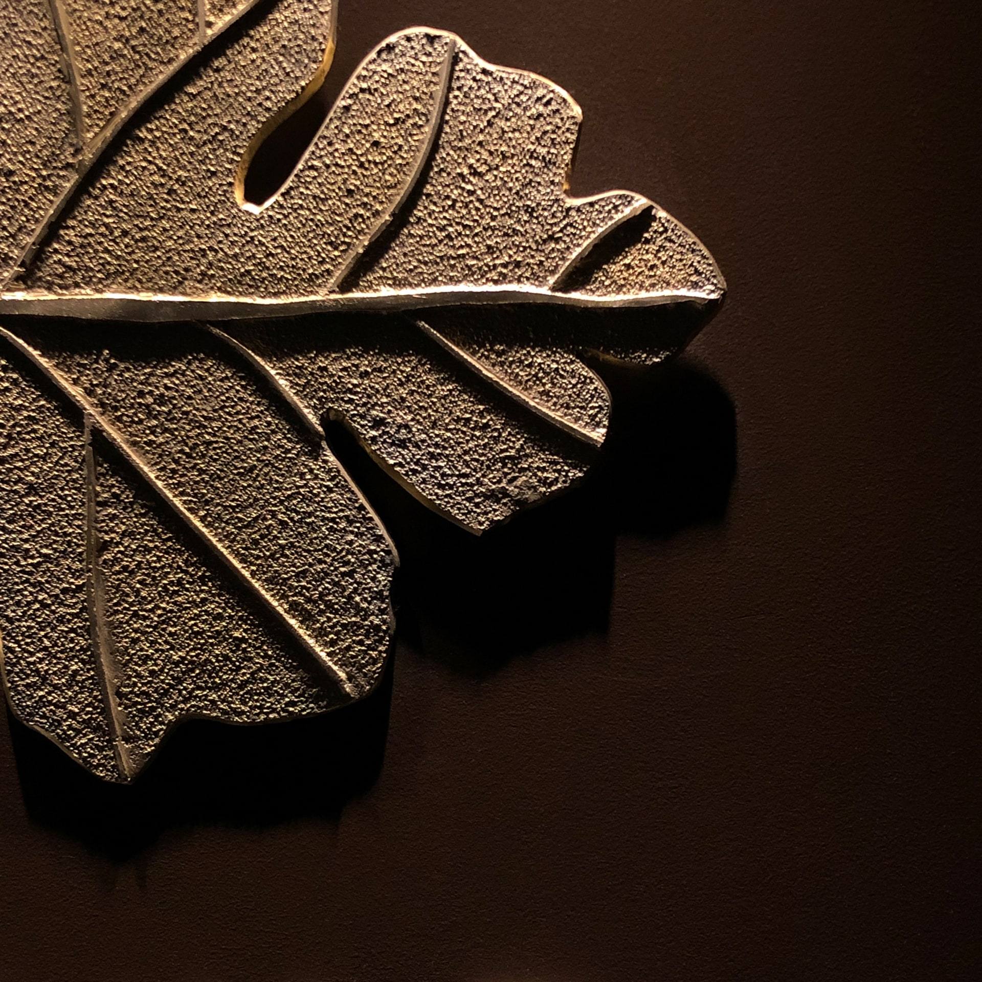Dear.Wild — interior, 24 of 24